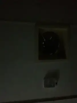 shakeweight online show from 3, 10, 2025