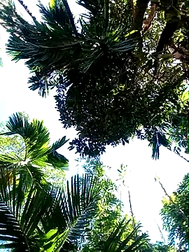 Johlrd online show from 19, 11, 2025