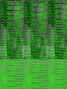 MuiNay online show from 6, 11, 2025