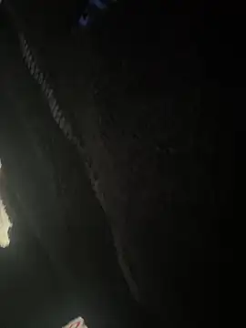 crhong666 online show from 6, 1, 2026