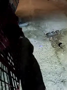 Snapshot of nughtytommy01 chatting on 10, 4, 2026 nughtytommy01 online show from 10, 4, 2026