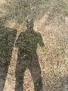 Snapshot of nughtytommy01 chatting on 17, 12, 2025 nughtytommy01 online show from 17, 12, 2025