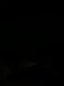 Dora  baby online show from 19, 11, 2025