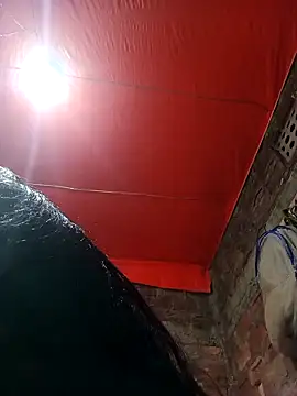 BOBITA 1 online show from 20, 12, 2025