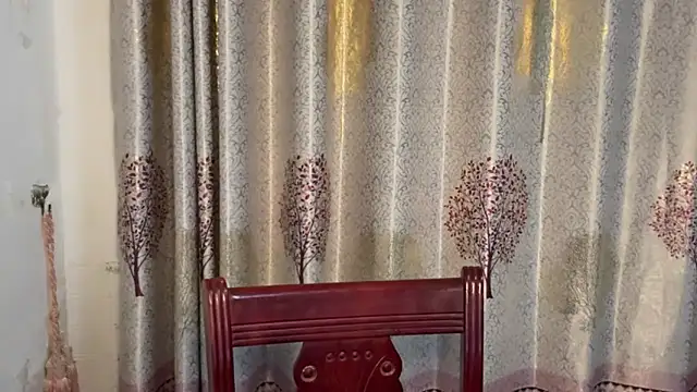 w5206t online show from 13, 11, 2025