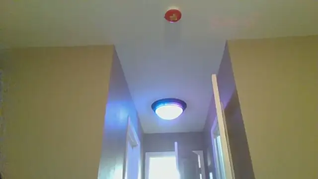 Snapshot of LeeCox chatting on 10, 1, 2026 LeeCox online show from 10, 1, 2026