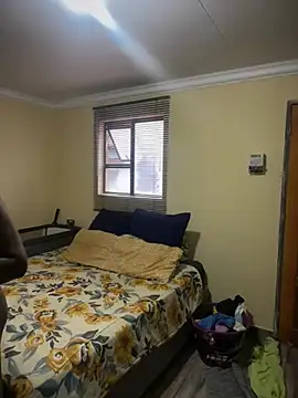 Dynamite cums in size 2 online show from 16, 3, 2026