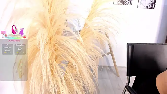 salma falcon online show from 6, 11, 2025