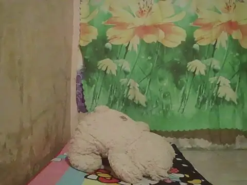 Snapshot of sexymorenal18 chatting on 27, 9, 2025 sexymorenal18 online show from 27, 9, 2025