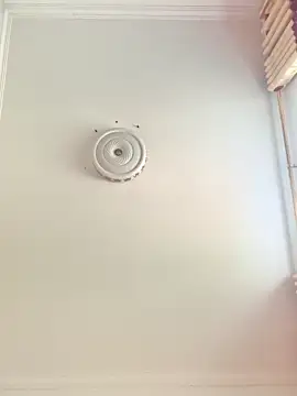 sisi-maiden online show from 28, 2, 2026