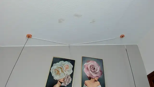 Dani rosse  online show from 7, 5, 2026