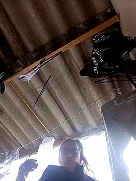 Lady 16 online show from 8, 11, 2025