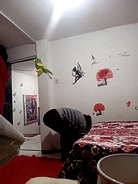 Lady 16 online show from 2, 12, 2025