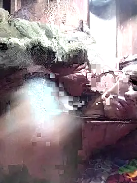 PhamPm70 online show from 22, 11, 2025