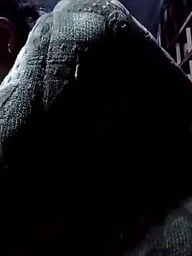 PhamPm70 online show from 17, 11, 2025