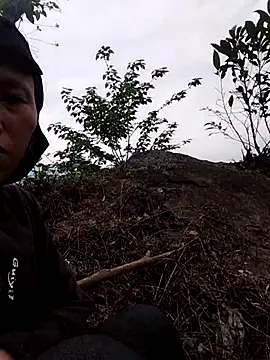 PhamPm70 online show from 13, 3, 2026