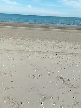 pegaso369 online show from 9, 10, 2025