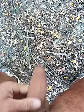 pegaso369 online show from 15, 10, 2025