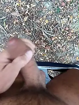 pegaso369 online show from 20, 10, 2025