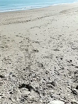 pegaso369 online show from 7, 10, 2025