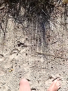 pegaso369 online show from 1, 10, 2025