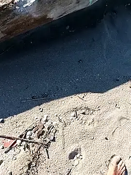 pegaso369 online show from 3, 10, 2025