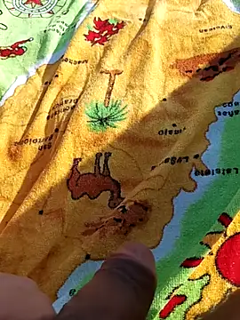 pegaso369 online show from 6, 11, 2025