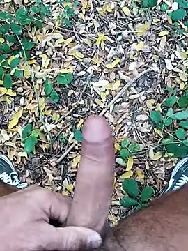 pegaso369 online show from 22, 10, 2025