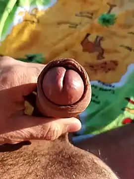 pegaso369 online show from 3, 11, 2025