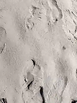 Snapshot of pegaso369 chatting on 28, 3, 2026 pegaso369 online show from 28, 3, 2026