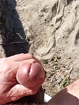 pegaso369 online show from 2, 10, 2025