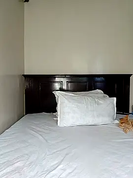 Nedambale online show from 14, 2, 2026