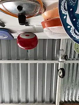 Axel-Mejia online show from 26, 3, 2026