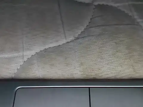 Lux y online show from 26, 11, 2025