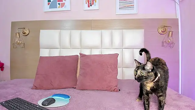 sofiagomez   online show from 8, 10, 2025