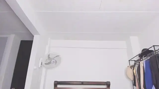 Jump rabbit online show from 11, 1, 2026