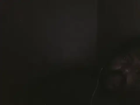 elpoop7305 online show from 11, 2, 2026