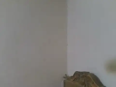 elpoop7305 online show from 19, 7, 2026