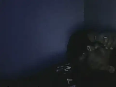 elpoop7305 online show from 19, 10, 2025