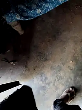 INTERNATIONAL0001 online show from 3, 12, 2025