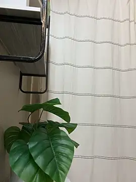 xHelloKitty online show from 14, 2, 2026