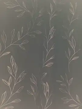 SomeWhatFoxyX online show from 11, 2, 2026