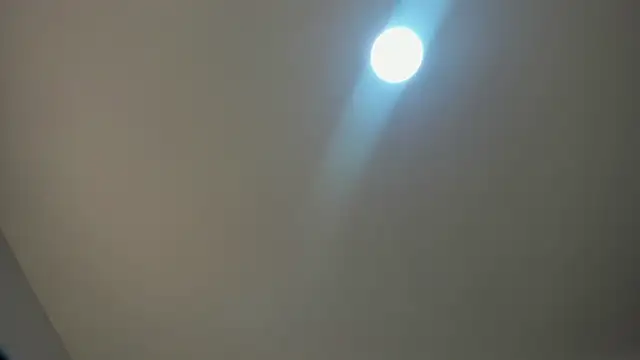 VioletRose as online show from 30, 11, 2025