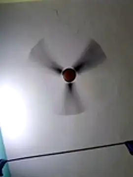 hornypiu697 online show from 11, 3, 2026