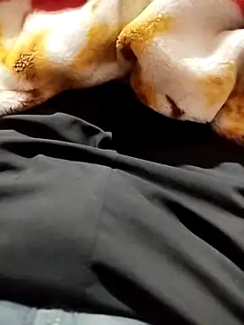 Snapshot of nikek13467ghj chatting on 9, 11, 2025 nikek13467ghj online show from 9, 11, 2025