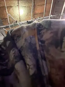 StrokingDaddy4 online show from 14, 11, 2025