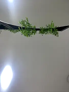 Snapshot of CharlotteBrownn_ chatting on 25, 10, 2025 CharlotteBrownn online show from 25, 10, 2025