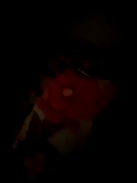 tyteo1010 online show from 22, 12, 2025