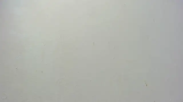 dominic de luca online show from 7, 11, 2025