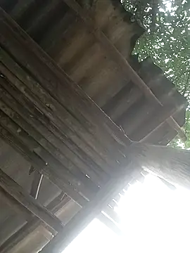 CoMay003 online show from 2, 4, 2026